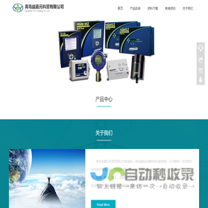 网站截图