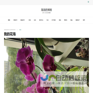 汽车制造网