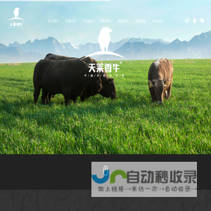 新疆天莱香牛